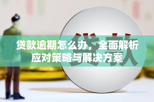 泸州贷款逾期怎么办，全面解析应对策略与解决方案