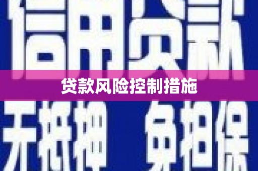 泸州贷款风险控制措施
