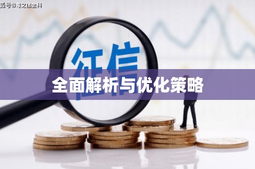 泸州全面解析与优化策略