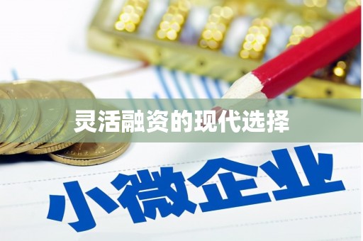泸州灵活融资的现代选择