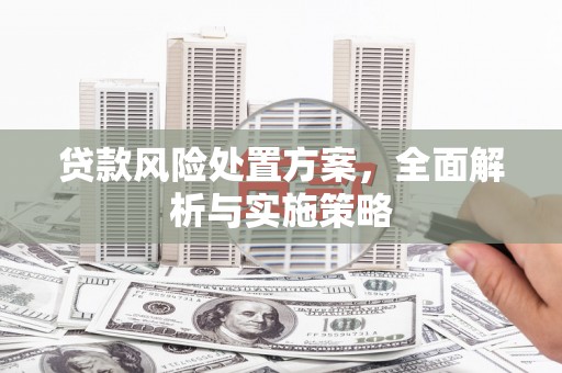 泸州贷款风险处置方案，全面解析与实施策略
