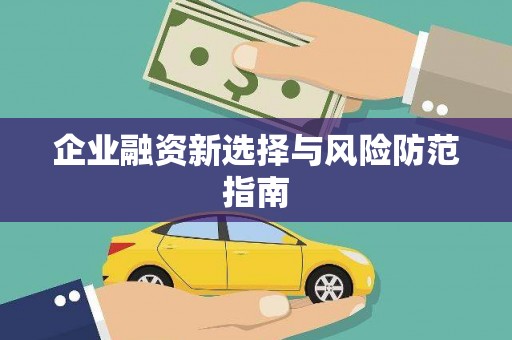 泸州企业融资新选择与风险防范指南
