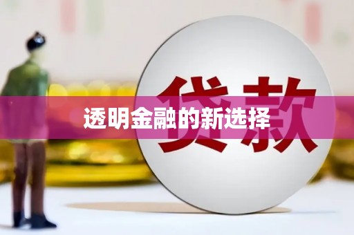 泸州透明金融的新选择
