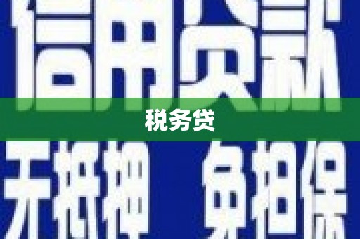 泸州税务贷