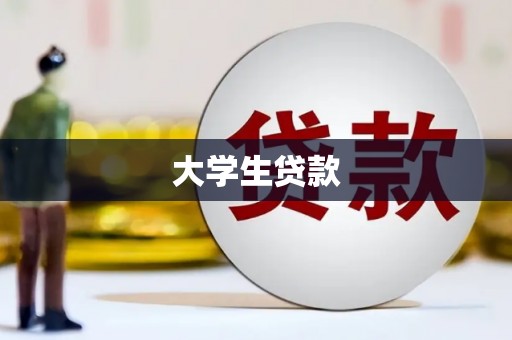 泸州大学生贷款