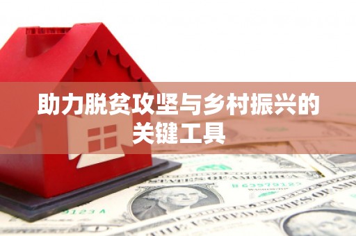 泸州助力脱贫攻坚与乡村振兴的关键工具