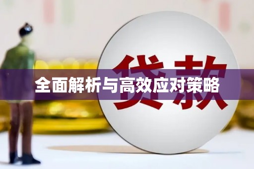 泸州全面解析与高效应对策略