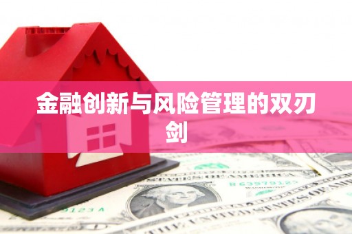 泸州金融创新与风险管理的双刃剑