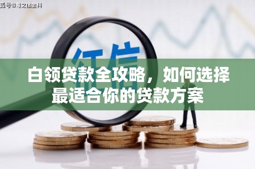 泸州白领贷款全攻略，如何选择最适合你的贷款方案
