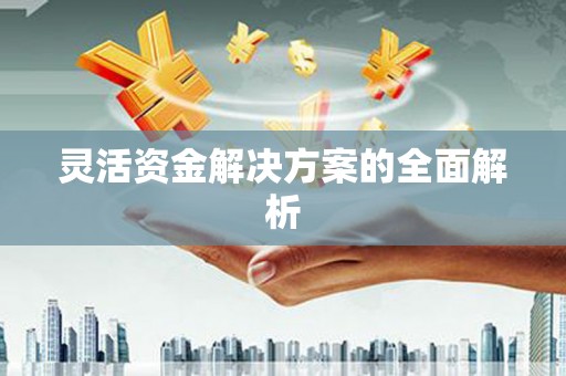 泸州灵活资金解决方案的全面解析