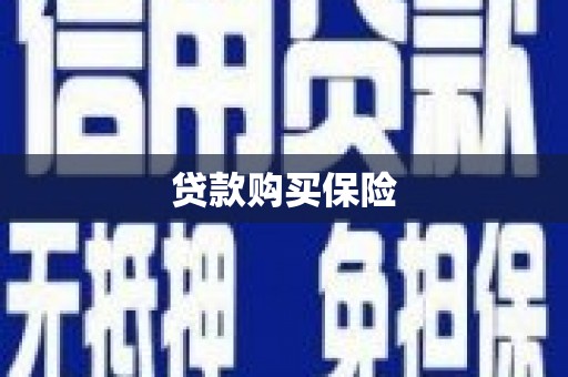 泸州贷款购买保险