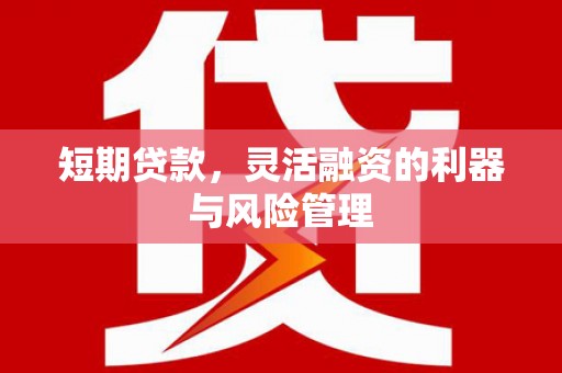 泸州短期贷款，灵活融资的利器与风险管理