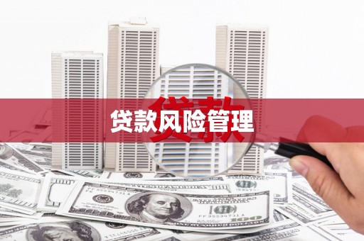 泸州贷款风险管理