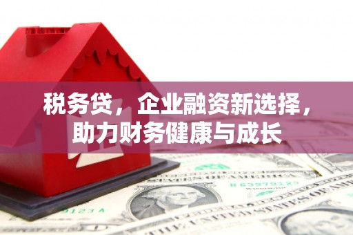 泸州税务贷，企业融资新选择，助力财务健康与成长