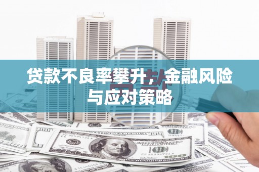 泸州贷款不良率攀升，金融风险与应对策略