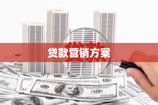 泸州贷款营销方案